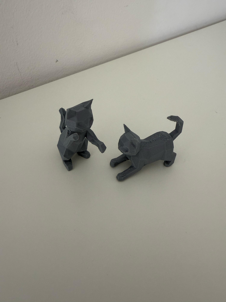 Set van 2 spelende katten