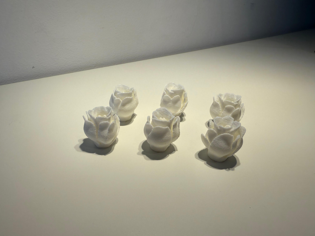 Set van 6 roosjes met glanzende afwerking (Wit)